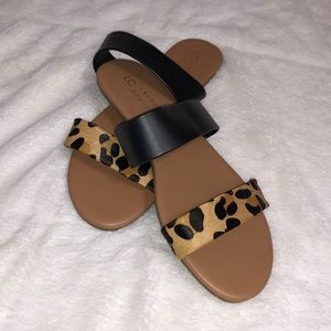 NEW Lauren Conrad Leopard Slip-On Sandals Size 8